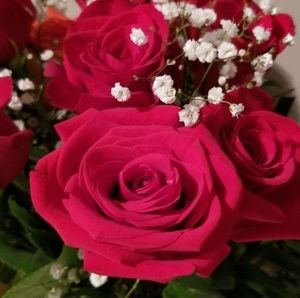 Meet your Posher, Alma